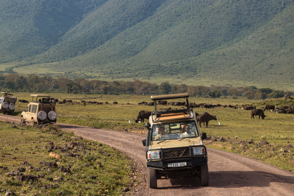 3 day Serengeti safari from Zanzibar.
