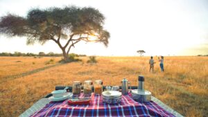 Tanzania safari food bush breakfast in Serengeti