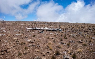 15381252019_94f50e4001_o