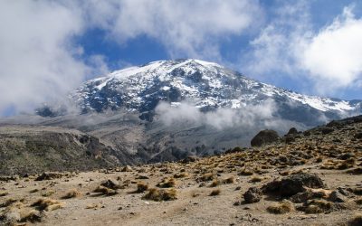 15722967423_2d36f101cb_b