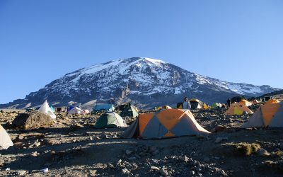 24832324111_bf15191b09_b