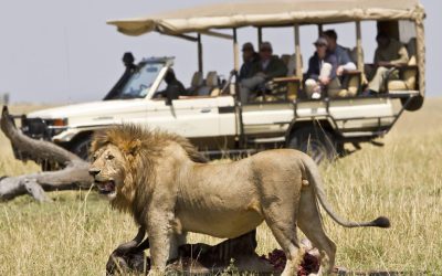 IMG_3633-scaled-2-1024x615