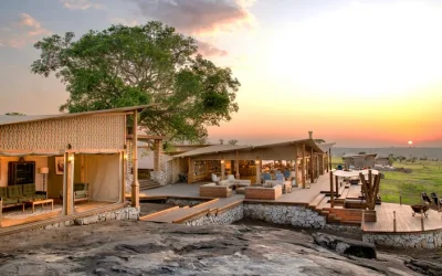 Luxury-accommodations-springing-up-in-the-Serenget